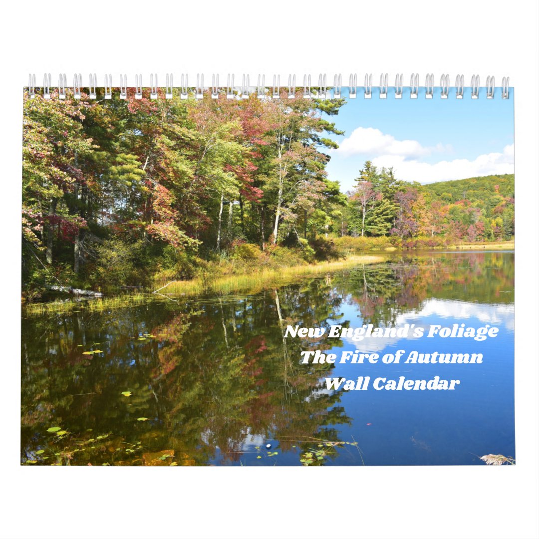 New England's Foliage Wall Calendar Zazzle