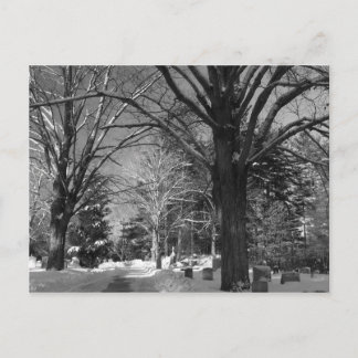 New England's Winter Postcard