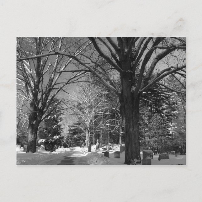 New England's Winter Postcard (Front)