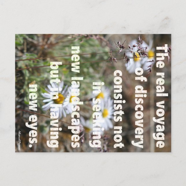 New Eyes Postcard (Front)