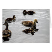 New Family (Front Horizontal)