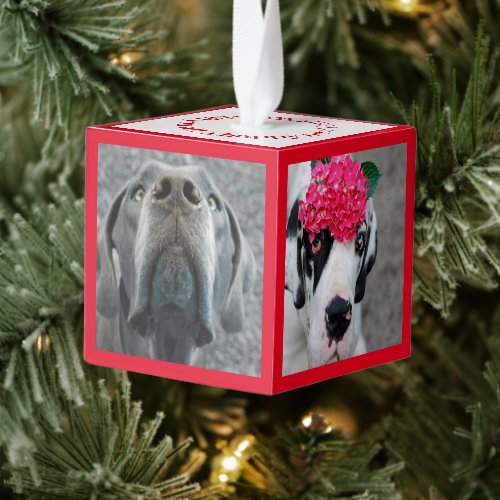 New Family Member Introduction  Cube Ornament