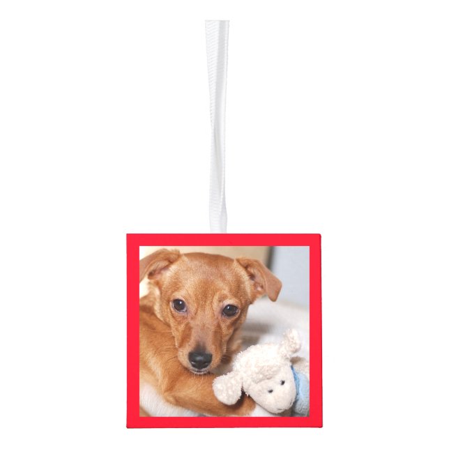 New Family Member Introduction  Cube Ornament (Left)