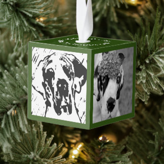 New Family Member Introduction  Cube Ornament