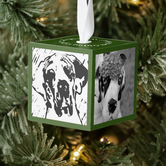 New Family Member Introduction  Cube Ornament (Tree)