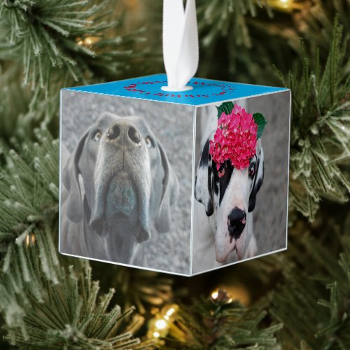 New Family Member Introduction  Cube Ornament