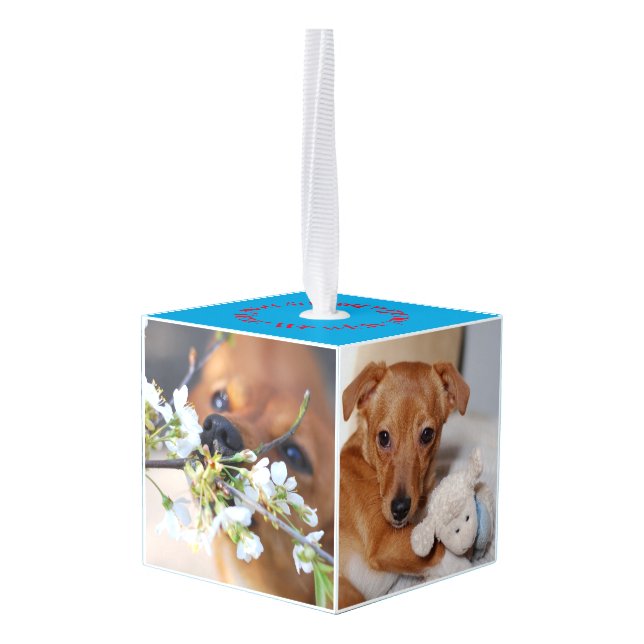 New Family Member Introduction  Cube Ornament (Back Angled)