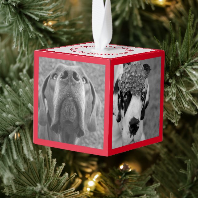 New Family Member Introduction  Cube Ornament (Tree)