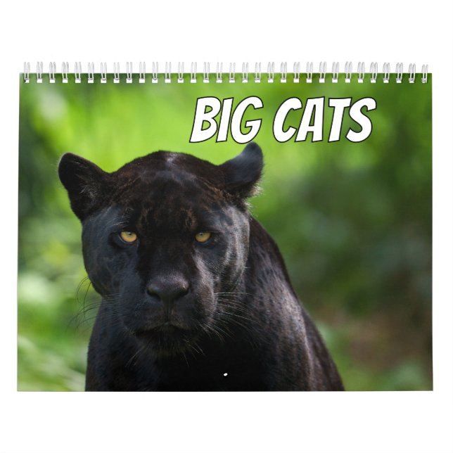 New for 2026 Big Cat Calendar (Cover)