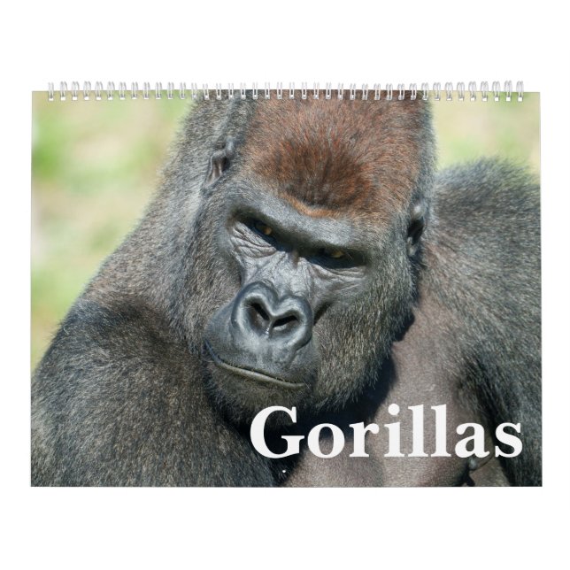 NEW for 2026 Gorilla Calendar (Cover)