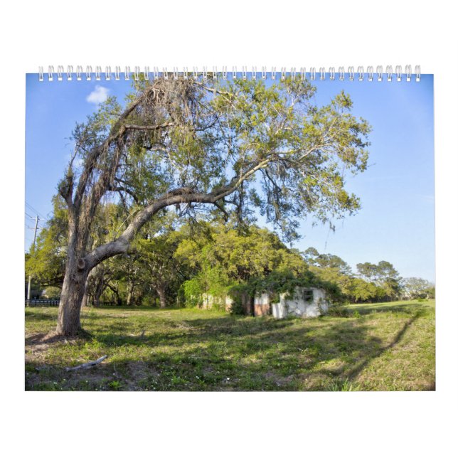 New For 2026 Pawleys Island Large Wall Calendar (Cover)