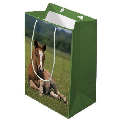 New Forest Foal Gift Bag