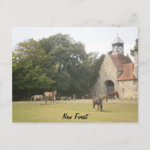 New Forest Hampshire Postcard