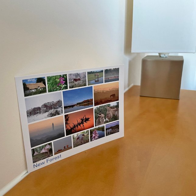 New Forest multi-image 2 Postcard (Creator Uploaded)