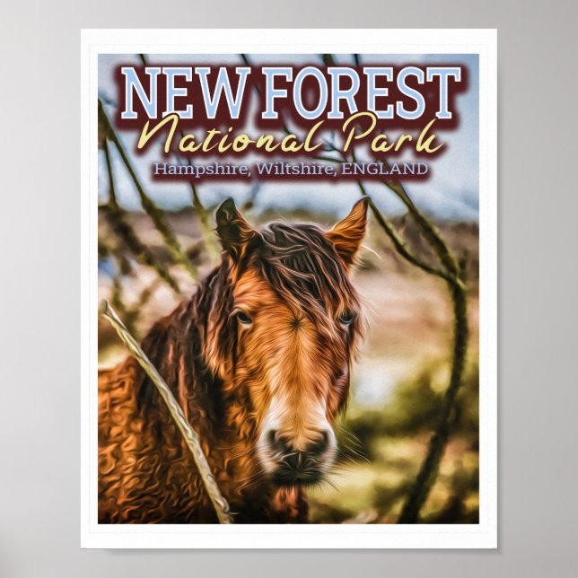 NEW FOREST NATIONAL PARK - NEW FOREST PONY POSTER (Front)