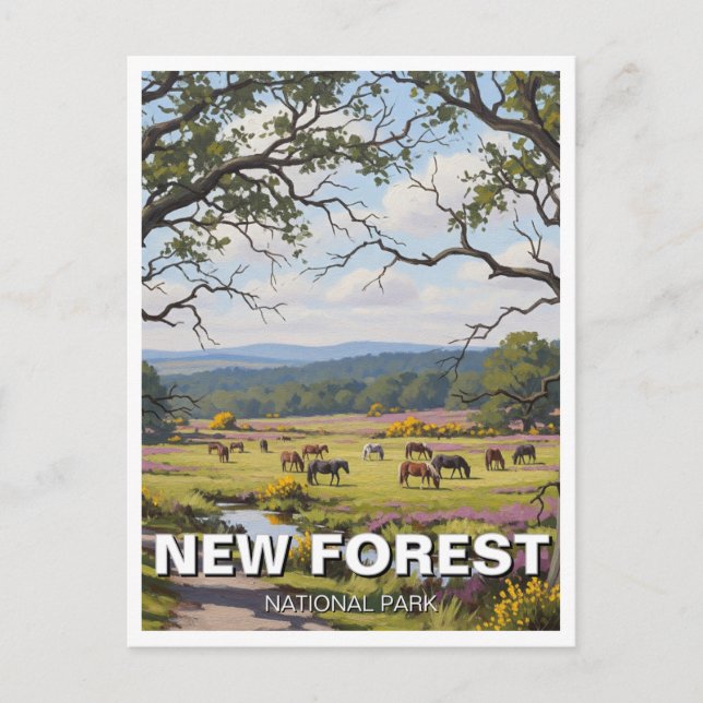 New Forest National Park Travel Postcard (Front)