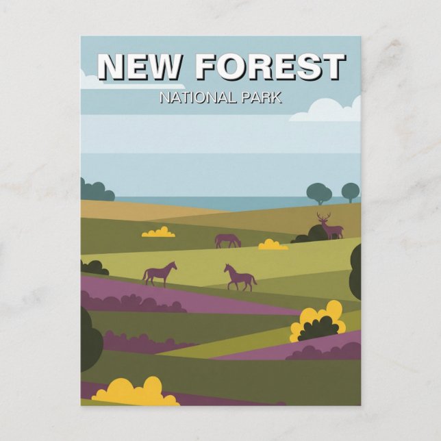 New Forest National Park Travel Postcard (Front)