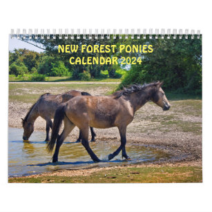 New Forest Ponies Calendar 2024