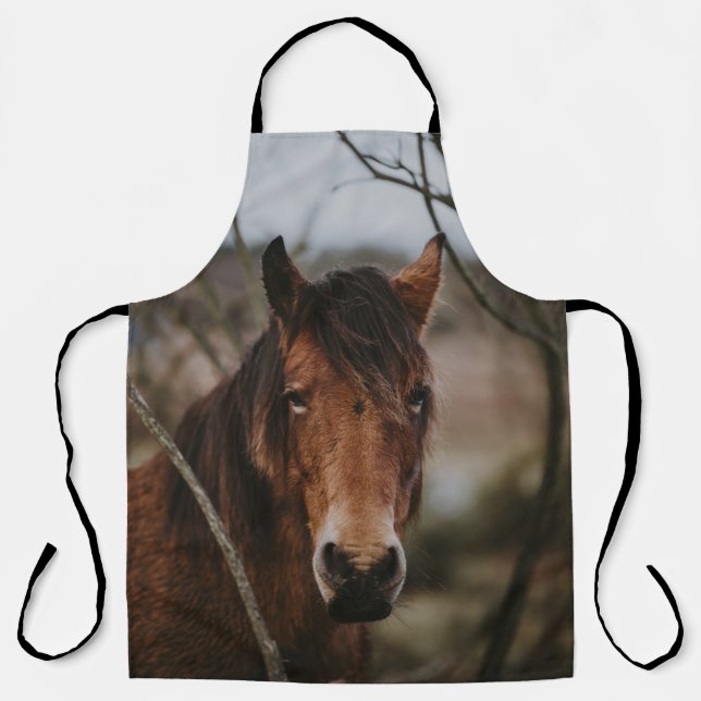 NEW FOREST PONY-3 APRON (Front)