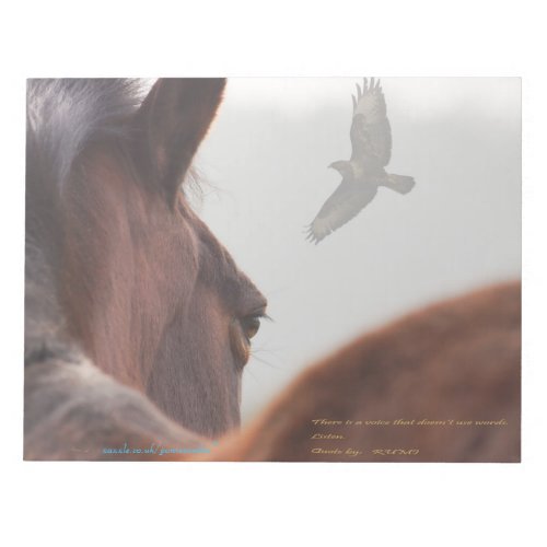 New forest Pony and Buzzard note pad