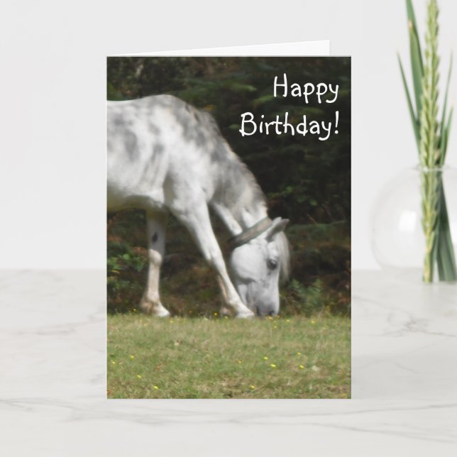 New Forest Pony Birthday Card (Front)