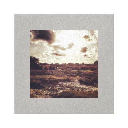 New forest pony canvas print