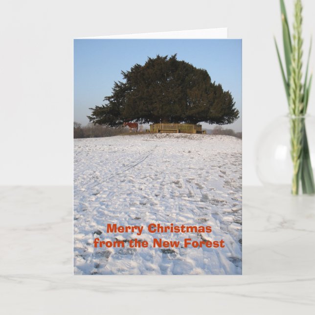 New Forest pony Christmas card (Front)
