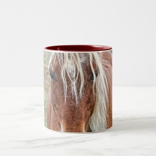 New Forest Pony of Hampshire England Two_Tone Coffee Mug