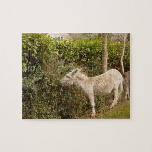 New Forest Pony roaming photo jigsaw Puzzle