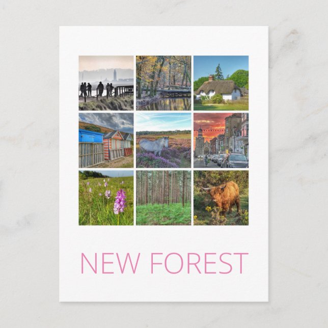 New Forest Postcard (Front)