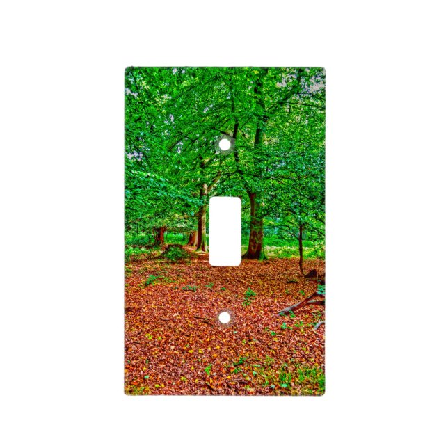 New Forest Tree-lovers Nature Photo Light Switch Cover (Front)