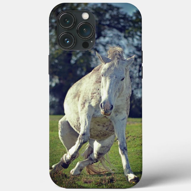 New Forest White Pony Funny Pose Case-Mate iPhone Case (Back)