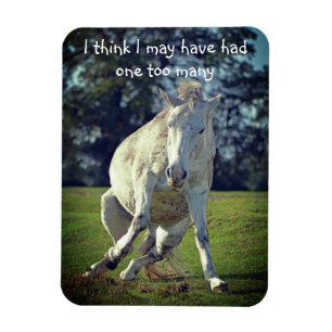 New Forest White Pony Funny Pose Magnet