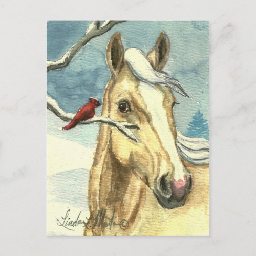 New Friend Wild Horse Post Card