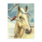 New Friend Wild Horse Post Card
