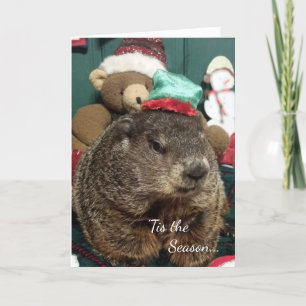 New!!! Groundhog Moses Holiday Greeting Card