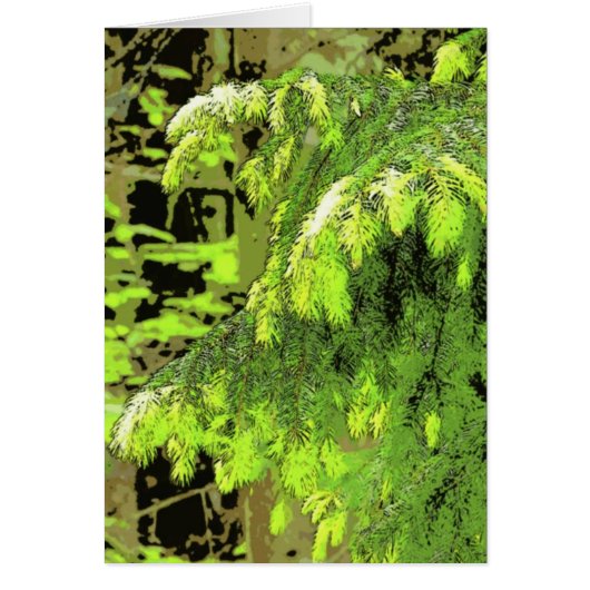 New Growth Cards (Front)