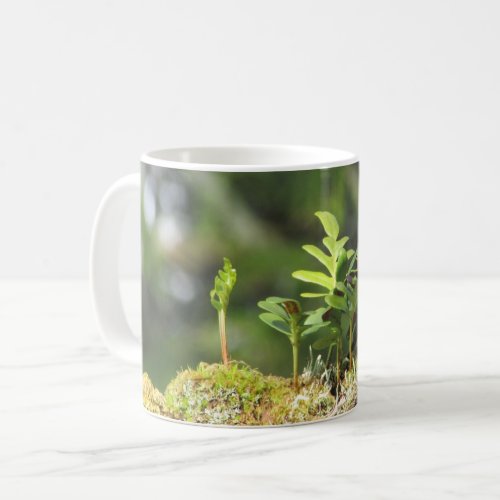 New Growth Fern Moss Nature Enthusiast Green Plant Coffee Mug