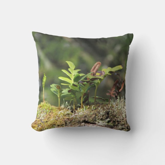 New Growth Fern Moss Nature Enthusiast Green Plant Throw Pillow (Front)