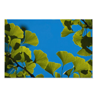 New Growth. Photo Print