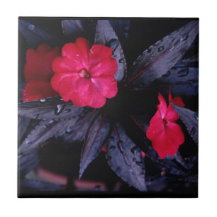 New Guinea Impatiens Ceramic Tile