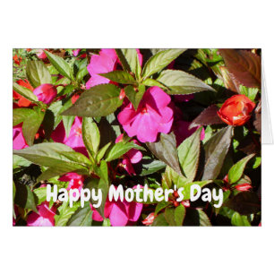 New Guinea Pink Busy Lizzie Mother's Day Cards