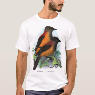 New Guinea: Two Pitohui Species T-Shirt