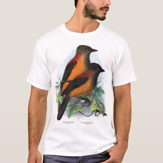 New Guinea: Two Pitohui Species T-Shirt (Front)