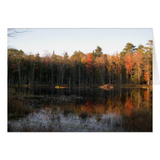 New Hampshire beaver pond in Autumn Cards