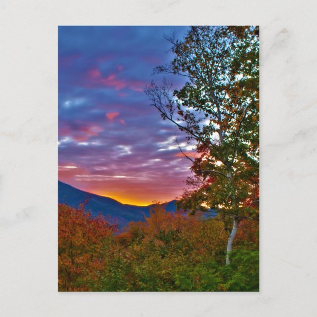 New Hampshire Fall Foliage Sunset Postcard (Front)