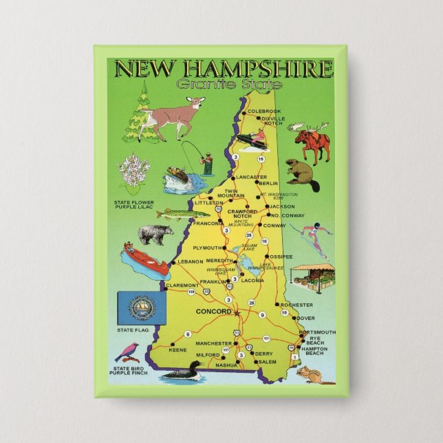  New Hampshire Illustrated  Map Postcard Button (Front)