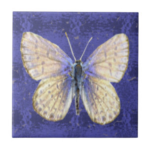 New Hampshire Karner Blue Butterfly Tile