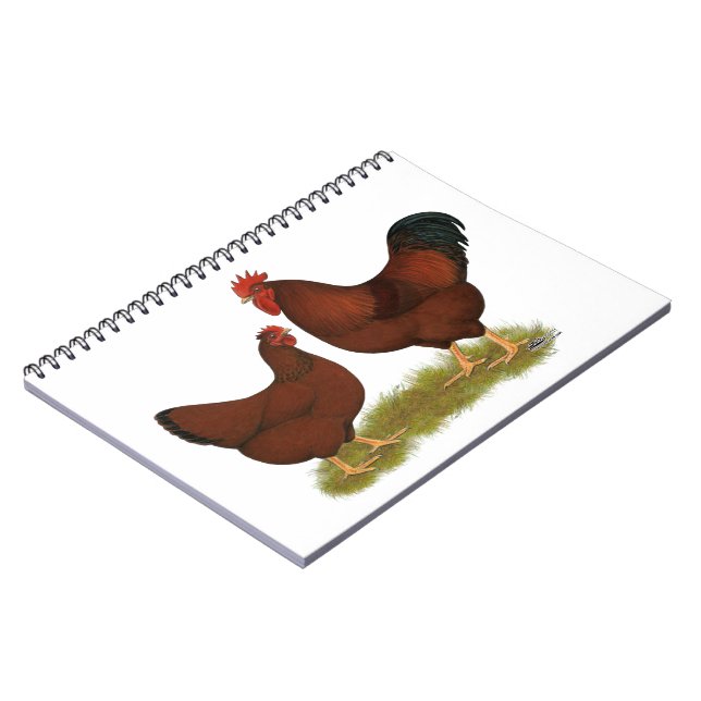 New Hampshire Reds Notebook (Left Side)