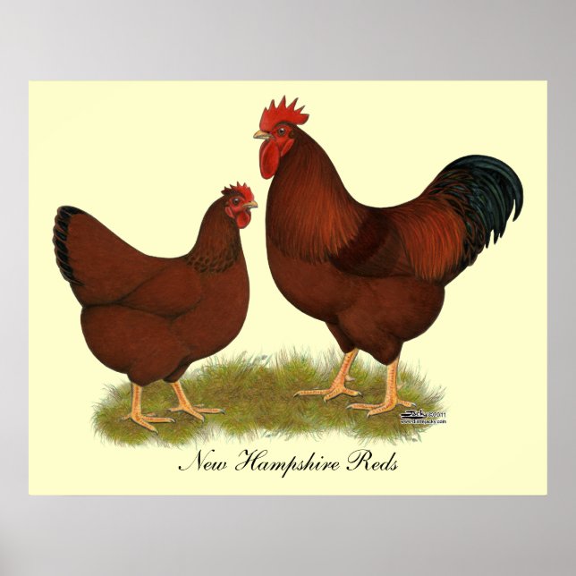 New Hampshire Reds Poster (Front)